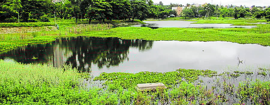 ದೊಡ್ಡಕಲ್ಲಸಂದ್ರ ಕೆರೆ