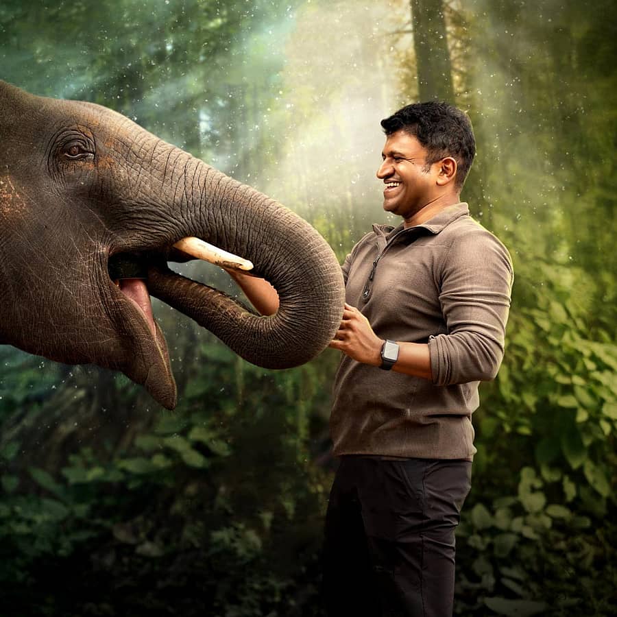 ‘ಗಂಧದಗುಡಿ’ಯಲ್ಲಿ ಪುನೀತ್‌ ರಾಜ್‌ಕುಮಾರ್‌