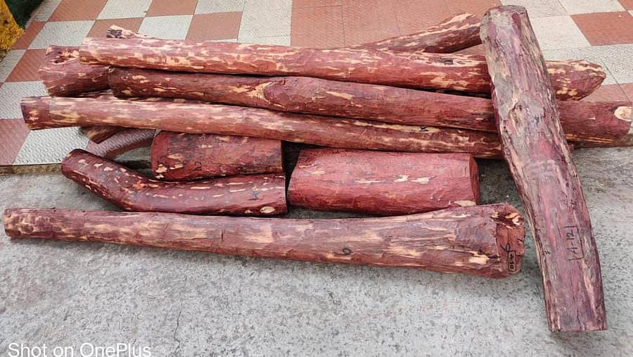 ಶ್ರೀರಾಮಪುರ ಪೊಲೀಸರು ಆರೋಪಿಗಳಿಂದ ಜಪ್ತಿ ಮಾಡಿರುವ ರಕ್ತಚಂದನ ತುಂಡುಗಳು