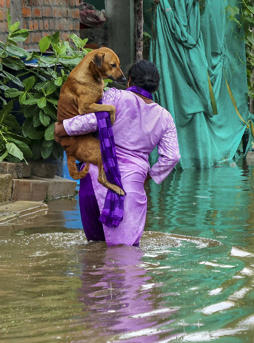 ಚೆನ್ನೈನಲ್ಲಿ ಮಹಿಳೆಯೊಬ್ಬರು ಸಾಕಿದ ನಾಯಿಯನ್ನು ಹೊತ್ತು ಸುರಕ್ಷಿತ ಜಾಗದತ್ತ ಹೊರಟಿದ್ದು ಬುಧವಾರ ಕಂಡುಬಂತು –ಪಿಟಿಐ ಚಿತ್ರ