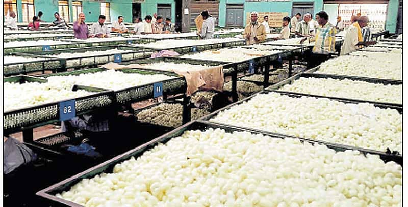 ರೇಷ್ಮೆಗೂಡು ಮಾರುಕಟ್ಟೆ