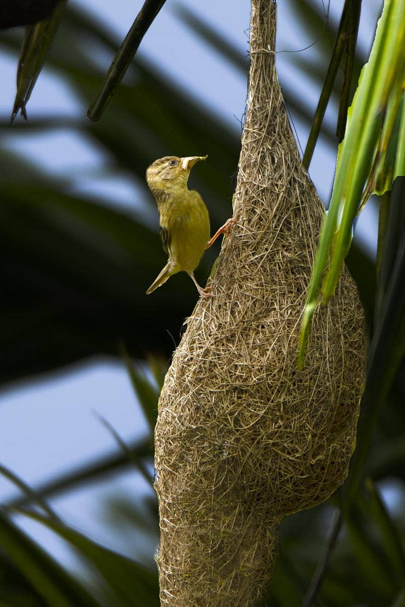 ಕಾಮಗಾರಿಯ ಗುಣಮಟ್ಟ ಪರೀಕ್ಷೆ!