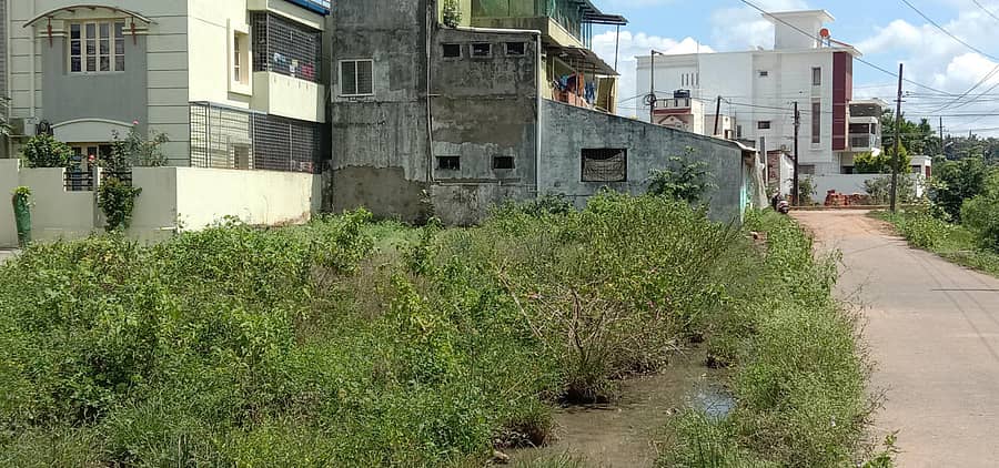 ತರೀಕೆರೆ ಪಟ್ಟಣದ 18ನೇ ವಾರ್ಡ್‌ನಲ್ಲಿ ಹಾದುಹೋಗುವ ರಾಜ್ಯ ಹೆದ್ದಾರಿಯ ಬದಿಯಲ್ಲಿ ಕೊಳಚೆ ನೀರು