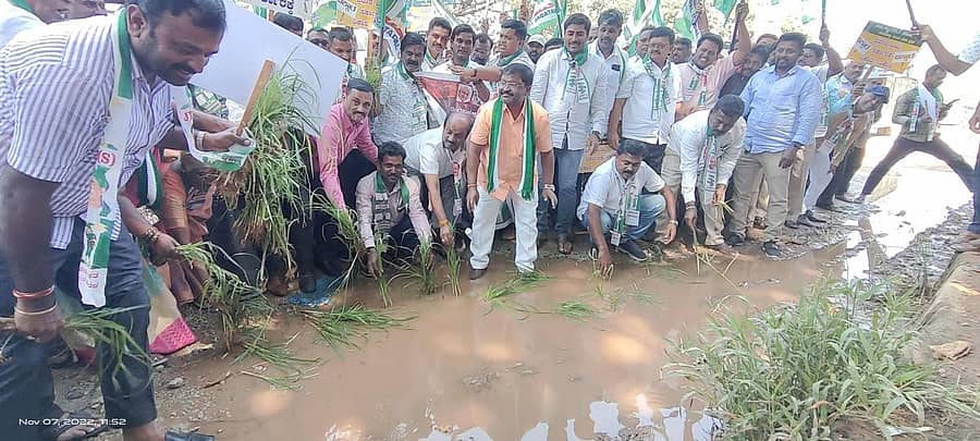 ದೇವನಹಳ್ಳಿಯಲ್ಲಿ ರಸ್ತೆ ದುರಸ್ತಿಪಡಿಸಬೇಕು ಎಂದು ಒತ್ತಾಯಿಸಿ ಶಾಸಕ ನಿಸರ್ಗ ನಾರಾಯಣಸ್ವಾಮಿ ನೇತೃತ್ವದಡಿ ಜೆಡಿಎಸ್ ಕಾರ್ಯಕರ್ತರು ಗುಂಡಿಗಳಲ್ಲಿ ರಾಗಿ ಪೈರು ನಾಟಿ ಮಾಡಿ ಪ್ರತಿಭಟನೆ ನಡೆಸಿದರು