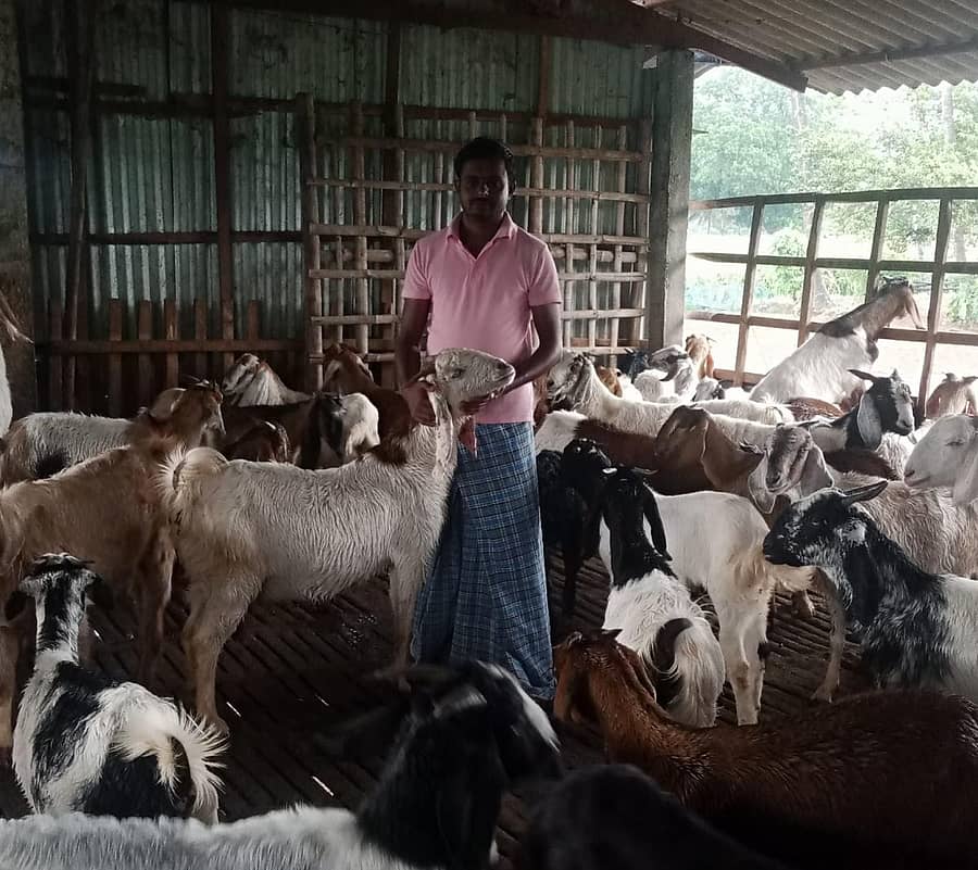 ತಾವು ಸಾಕಿದ ಮೇಕೆಗಳೊಂದಿಗೆ ಮನೋಹರನ್‌
