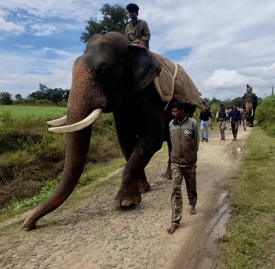 ಕಾರ್ಯಾಚರಣೆಯಲ್ಲಿ ಅಭಿಮನ್ಯು ಹಾಗೂ ಭೀಮ ಆನೆ