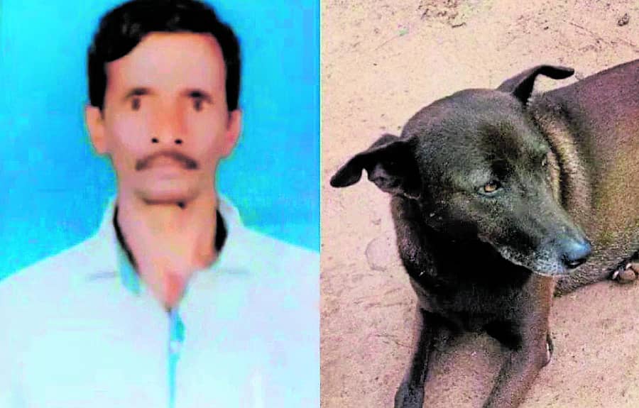 ಶೇಖರಪ್ಪ ಅವರನ್ನು ಪತ್ತೆ ಮಾಡಿದ ಶ್ವಾನ