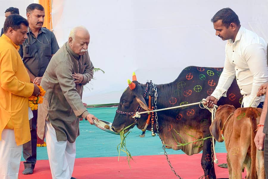 ಮೋಹನ್ ಭಾಗವತ್ ಅವರು ಕಾರ್ಯಕ್ರಮಕ್ಕೂ ಮುನ್ನ ಗೋಪೂಜೆ ನೆರವೇರಿಸಿ ಗೋವಿಗೆ ಆಹಾರ ತಿನಿಸಿದರು–ಪಿಟಿಐ ಚಿತ್ರ