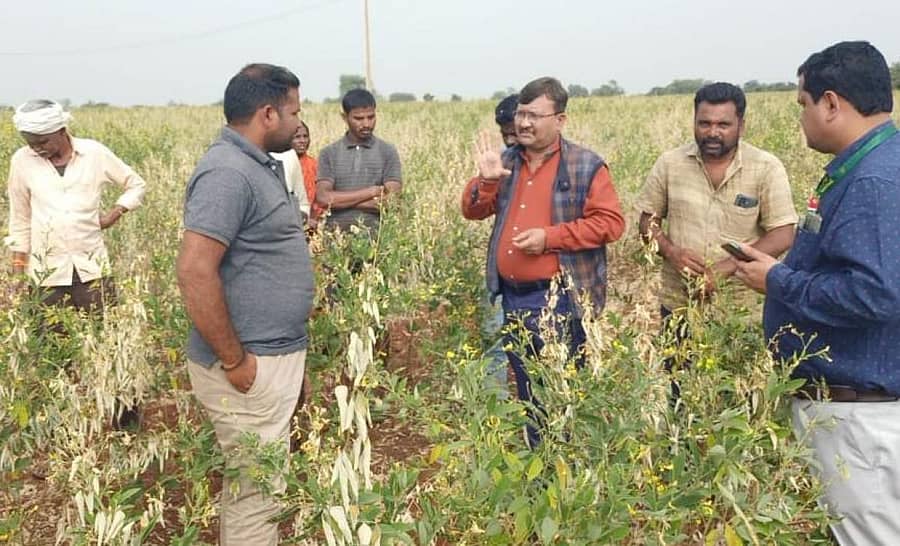 ಚಿಟಗುಪ್ಪ ತಾಲ್ಲೂಕಿನ ನಿರ್ಣಾ ಹೋಬಳಿ ವ್ಯಾಪ್ತಿಯಲ್ಲಿ ನೆಟೆ ರೋಗ ಕಂಡುಬಂದ ತೊಗರಿ ಹೊಲವೊಂದಕ್ಕೆ ಜಂಟಿ ಕೃಷಿ ನಿರ್ದೇಶಕ ರತೇಂದ್ರನಾಥ ಸುಗೂರ ಭೇಟಿ ನೀಡಿ ಪರಿಶೀಲಿಸಿದರು