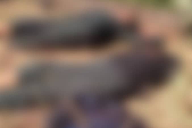 ನಕ್ಸಲರು ಮೃತಪಟ್ಟಿರುವ ದೃಶ್ಯ (ಟ್ವಿಟರ್ ಚಿತ್ರ)