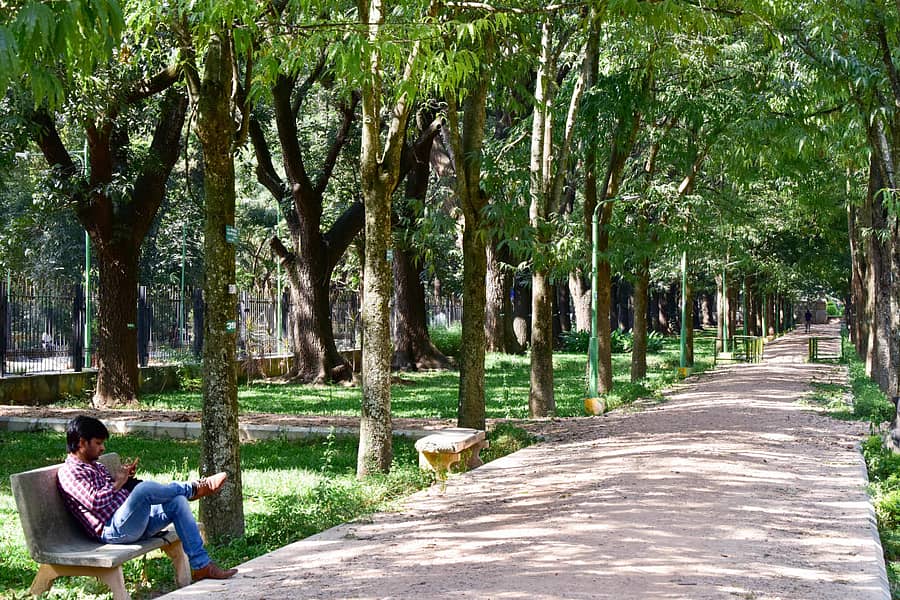 ಕಬ್ಬನ್ ಉದ್ಯಾನದ ನೋಟ –ಪ್ರಜಾವಾಣಿ ಚಿತ್ರ