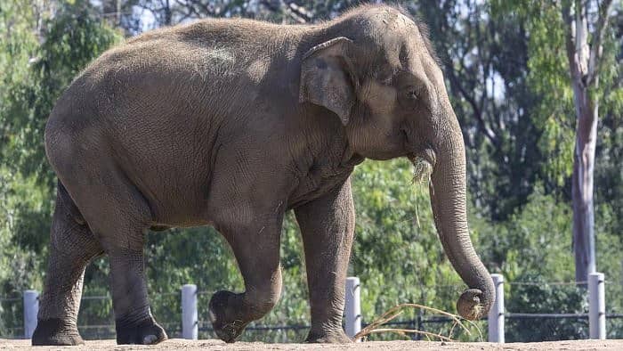 ಸಾಂಕೇತಿಕ ಚಿತ್ರ