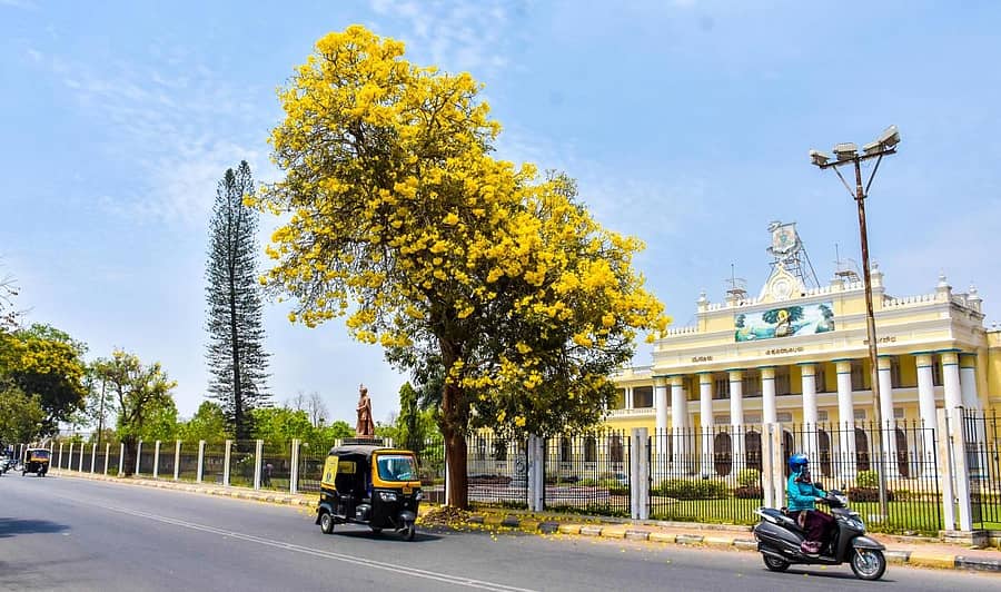 ಮೈಸೂರು ವಿಶ್ವವಿದ್ಯಾಲಯದ ಕ್ರಾಫರ್ಡ್ ಹಾಲ್