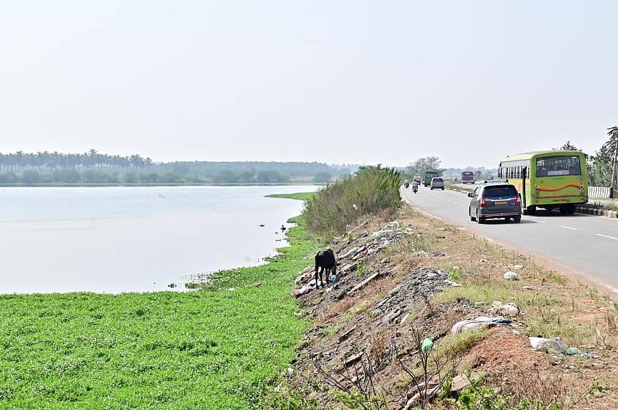 ದಾವಣಗೆರೆ ಹರಿಹರ ಮಾರ್ಗದ ಬಾತಿ ಕೆರೆಗೆ ತಡೆಗೋಡೆಯಿಲ್ಲದೇ ಅಪಾಯಕಾರಿಯಾಗಿರುವುದು –ಪ್ರಜಾವಾಣಿ ಚಿತ್ರ/ಸತೀಶ ಬಡಿಗೇರ್