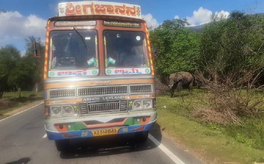 ಸತ್ಯಮಂಗಲ ಹುಲಿ ಸಂರಕ್ಷಿತ ಪ್ರದೇಶದಲ್ಲಿ ಹಾದು ಹೋಗಿರುವ ರಾಷ್ಟ್ರೀಯ ಹೆದ್ದಾರಿಯಲ್ಲಿ ನಿಂತಿದ್ದ ಕಬ್ಬಿನ ಲಾರಿ