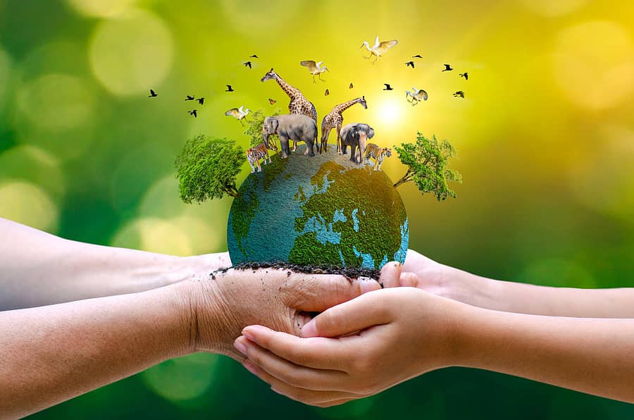 ಸಾಂದರ್ಭಿಕ ಚಿತ್ರ