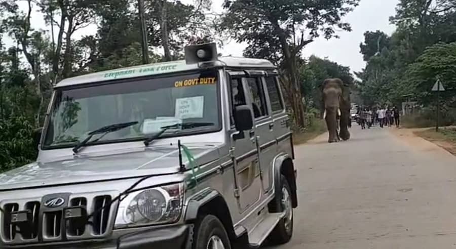 ಪೊಲೀಸ್ ಬೆಂಗಾವಲು ವಾಹನ