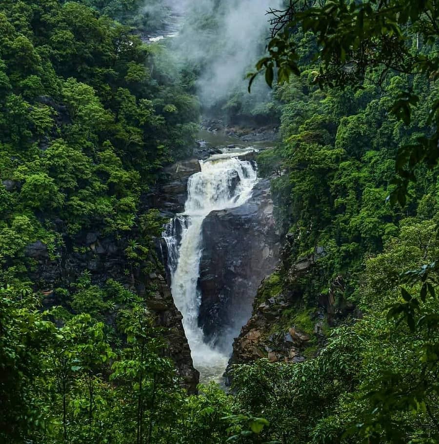 ಶಿರಸಿ ತಾಲ್ಲೂಕಿನ ಜಡ್ಡಿಗದ್ದೆ ಸಮೀಪ ಇರುವ ಶಿವಗಂಗಾ ಜಲಪಾತ. (ಸಂಗ್ರಹ ಚಿತ್ರ)