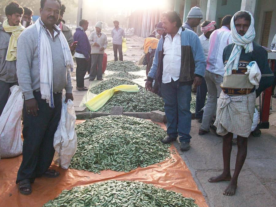 ಚಿಂತಾಮಣಿ ಎಪಿಎಂಸಿ ಮಾರುಕಟ್ಟೆ ಆವರಣದಲ್ಲಿ ಮಾರಾಟಕ್ಕೆ ಬಂದಿರುವ ಅವರೆಕಾಯಿ