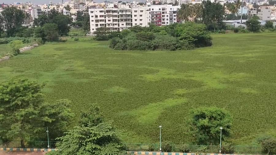 ಬಿಡಿಎ ಅಭಿವೃದ್ಧಿ ಮಾಡಿರುವ ಅಮೃತಹಳ್ಳಿ ಕೆರೆಯ ಸ್ಥಿತಿ