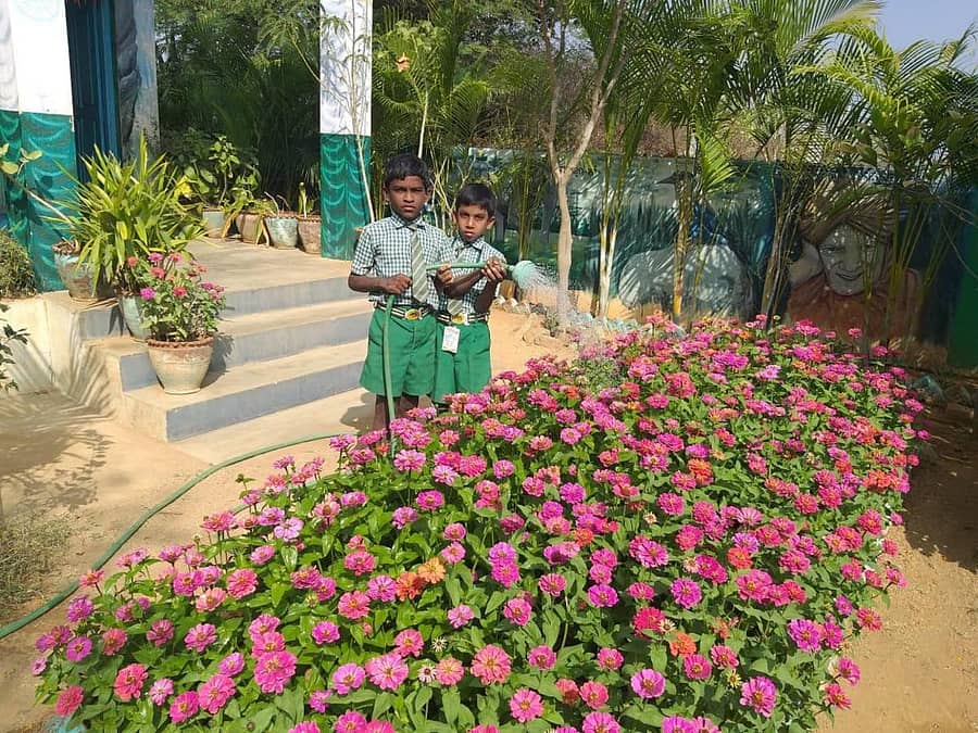 ಲಕ್ಕೇಪಲ್ಲಿ ಸರ್ಕಾರಿ ಶಾಲೆಯ ಪರಿಸರದಲ್ಲಿ ಹೂಗಳ ಅಂದ
