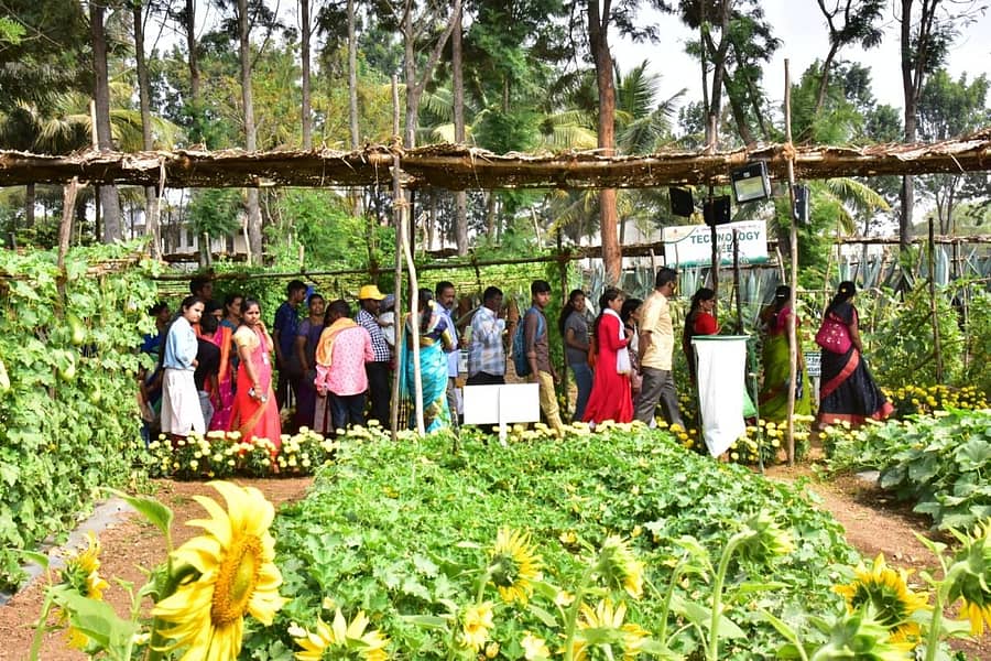 ಸುತ್ತೂರು ಜಾತ್ರೆ ಅಂಗವಾಗಿ ಆಯೋಜಿಸಿರುವ ಕೃಷಿ ಮೇಳವನ್ನು ಜನರು ಶನಿವಾರ ವೀಕ್ಷಿಸಿದರು