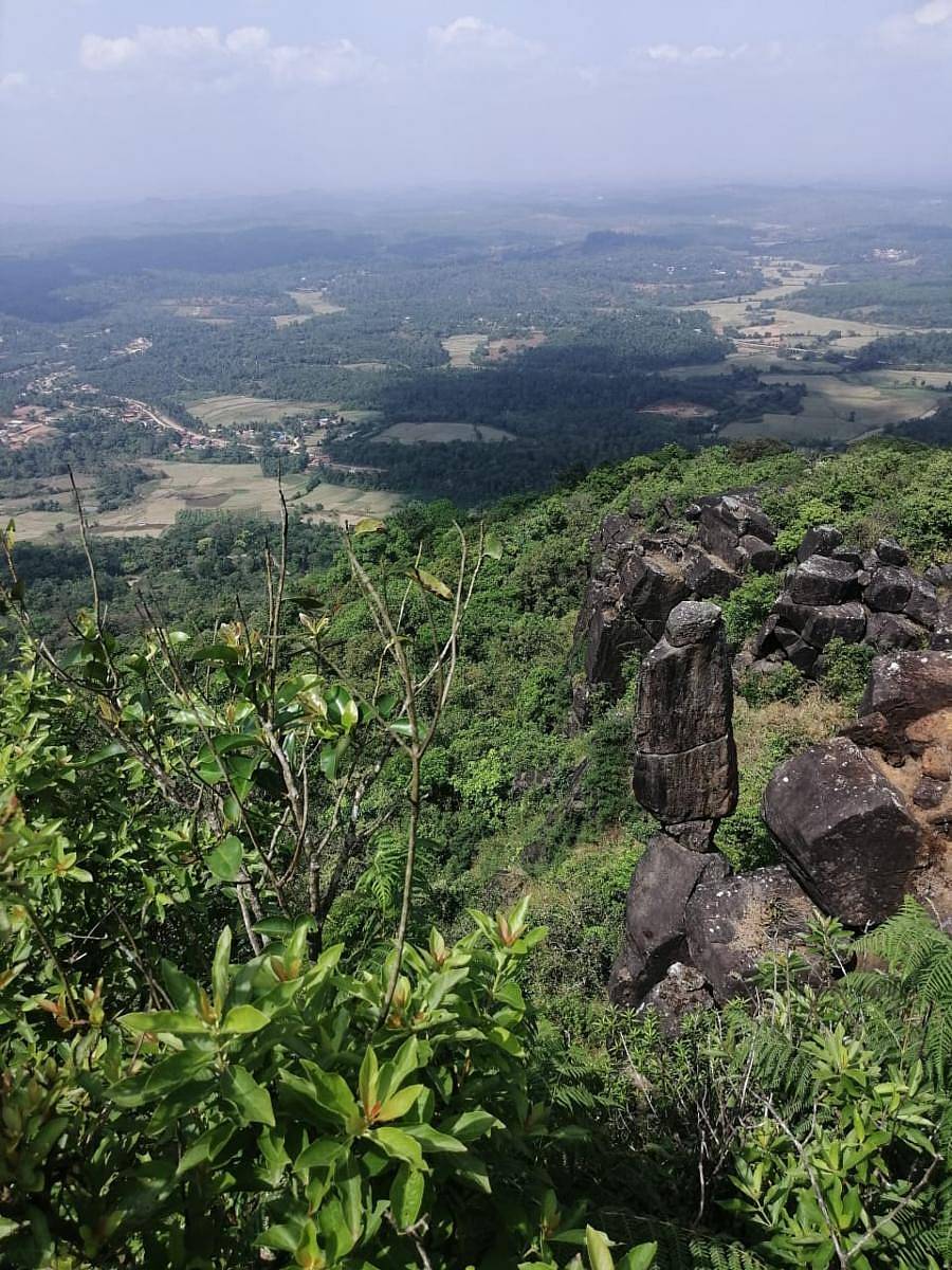 ಗಮನ ಸೆಳೆಯುವ ಗವಿಬೆಟ್ಟದ ಸಿಂಬಿ ಕಲ್ಲು
