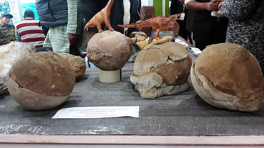 ಸಂಶೋಧಕರು ಪತ್ತೆ ಹಚ್ಚಿರುವ ಟಿಟನೊಸಾರಸ್ನ ಮೊಟ್ಟೆಯ ಪಳೆಯುಳಿಕೆಗಳು –ಪಿಟಿಐ ಚಿತ್ರ