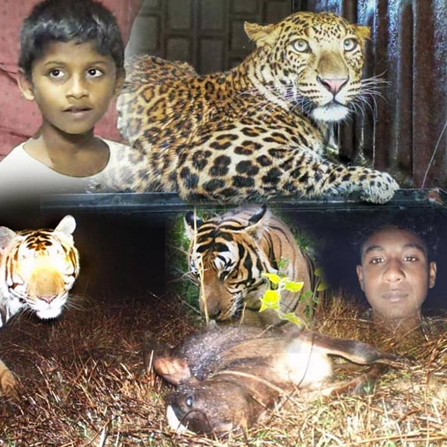 Sampadakiya 24-01-2023.jpg