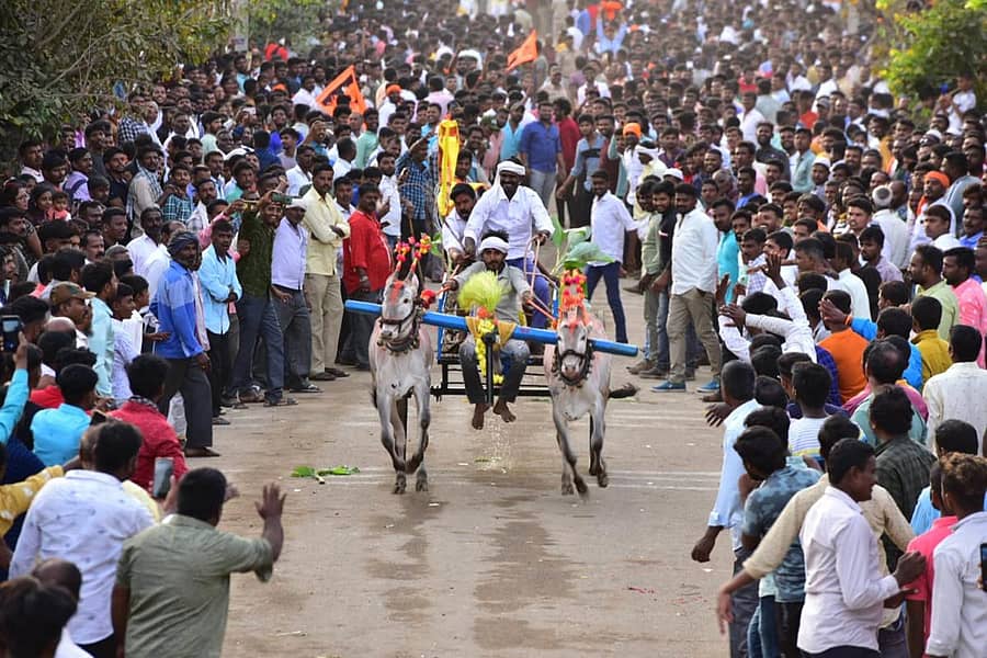 ಅಂತರಘಟ್ಟಮ್ಮ ರಥೋತ್ಸವ ಅಂಗವಾಗಿ ನಡೆದ ಪಾನಕದ ಬಂಡಿಗಳ ಓಟದಲ್ಲಿ ಪಾಲ್ಗೊಂಡ ಎತ್ತಿನ ಗಾಡಿ (ಎಡಚಿತ್ರ), ಅಂತರಘಟ್ಟಮ್ಮನವರ ರಥೋತ್ಸವವು ಮಂಗಳವಾರ ಬೀರೂರಿನಲ್ಲಿ ಭಕ್ತರ ಉಪಸ್ಥಿತಿಯಲ್ಲಿ ಸಂಭ್ರಮದಿಂದ ನೆರವೇರಿತು