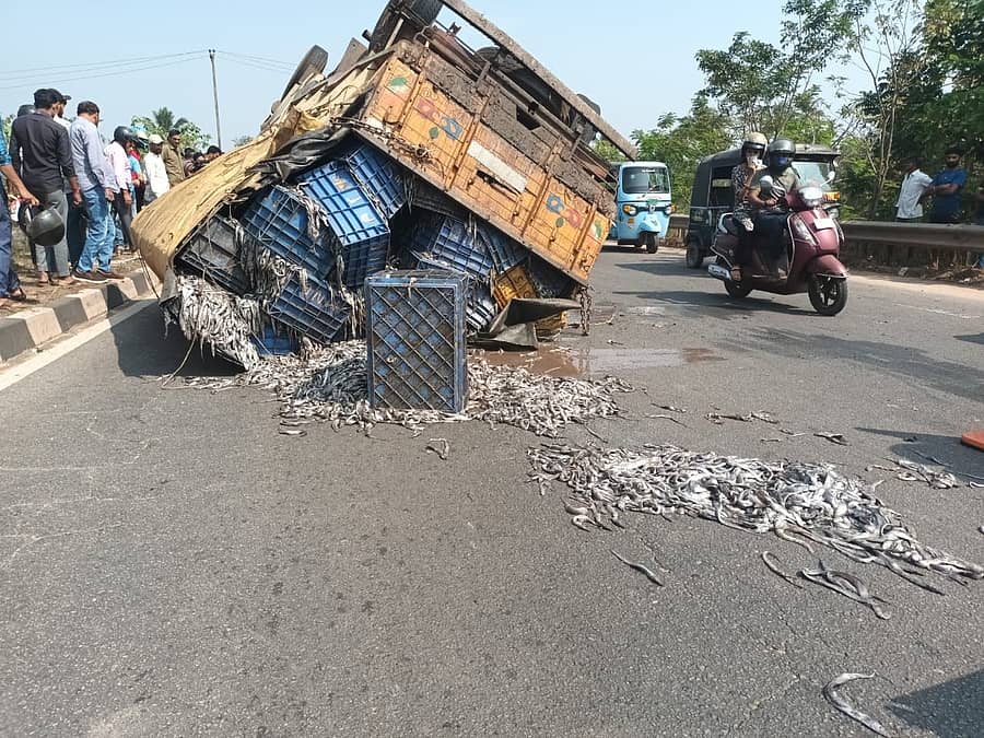 ವಾಹನ ಪಲ್ಟಿಯಾಗಿ ಮೀನು ಚಲ್ಲಾಪಿಲ್ಲಿಯಾಗಿರುವುದು
