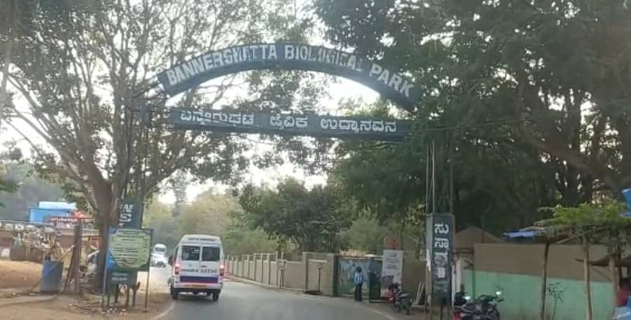 ಬನ್ನೇರುಘಟ್ಟ ರಾಷ್ಟ್ರೀಯ ಉದ್ಯಾನವನದ ನೋಟ