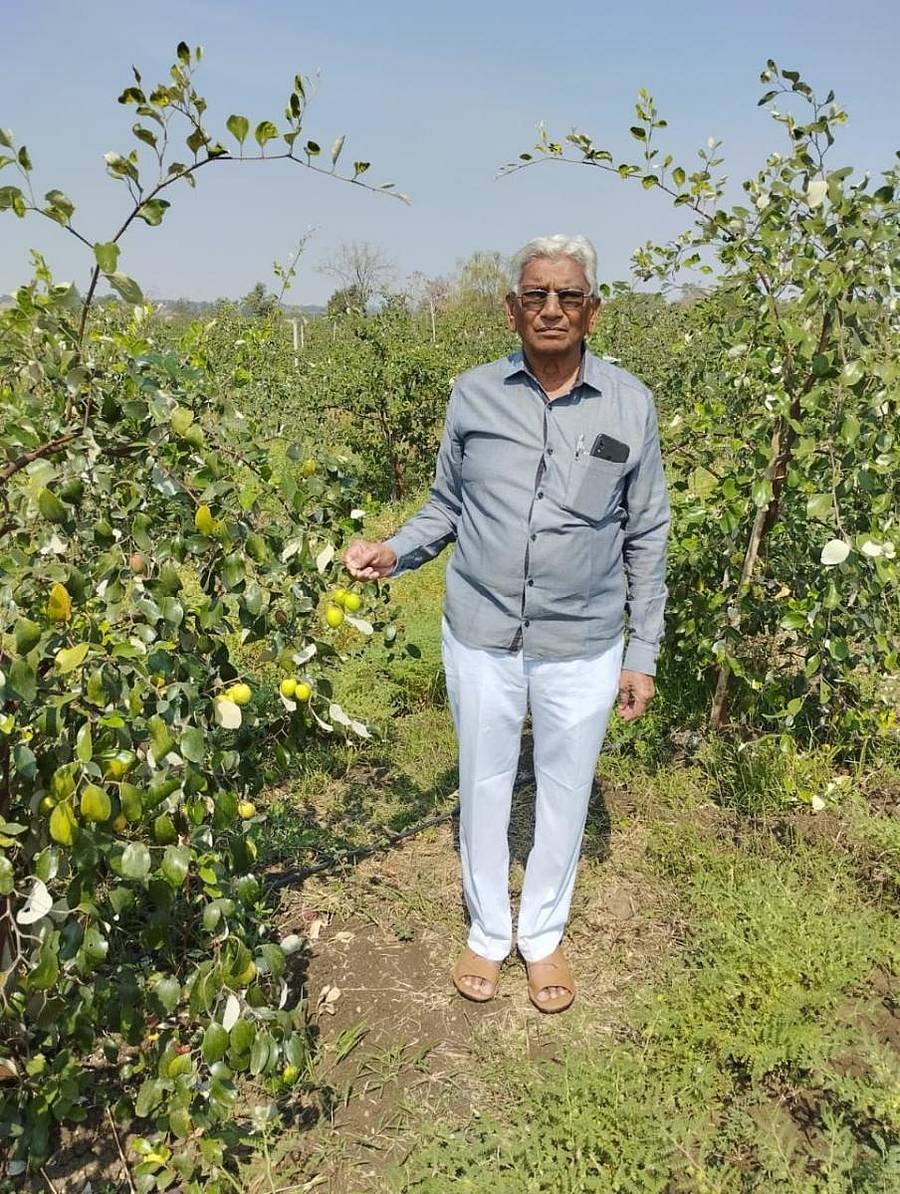 ಭಾಲ್ಕಿ ತಾಲ್ಲೂಕಿನ ಕದಲಾಬಾದ ಗ್ರಾಮದ ರೈತ ಆರ್.ಎಸ್.ಬಿರಾದಾರ ಅವರು ತಮ್ಮ ಹೊಲದಲ್ಲಿ ಬೆಳೆದಿರುವ ಕಾಶ್ಮೀರಿ ಆ್ಯಪಲ್ ಬಾರೆಕಾಯಿ ಪ್ರದರ್ಶಿಸುತ್ತಿರುವುದು