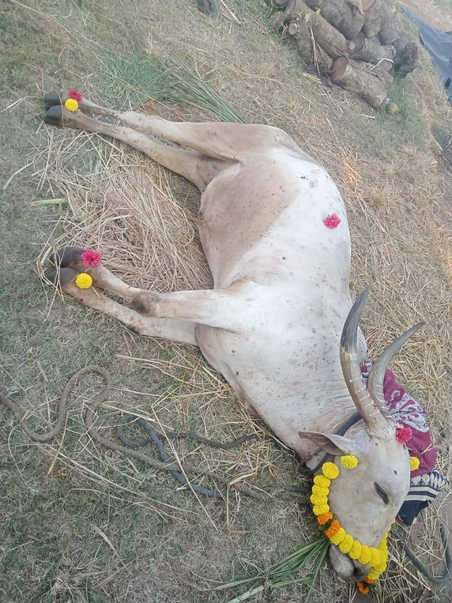 ಸಾಂದರ್ಭಿಕ ಚಿತ್ರ