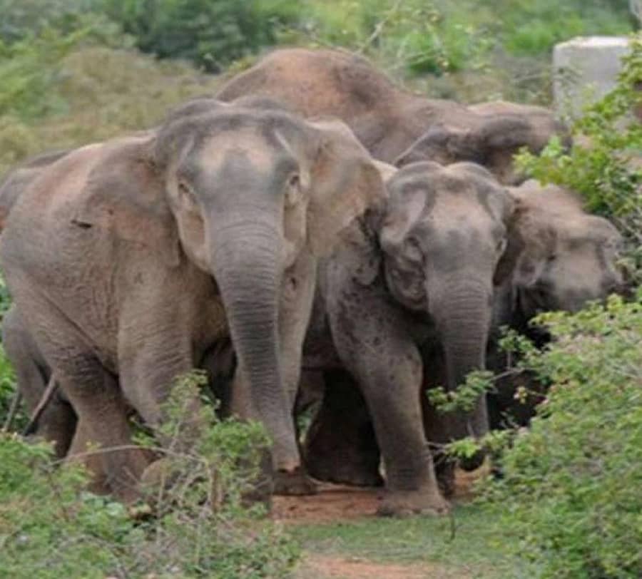 ಸಾಂದರ್ಭಿಕ ಚಿತ್ರ