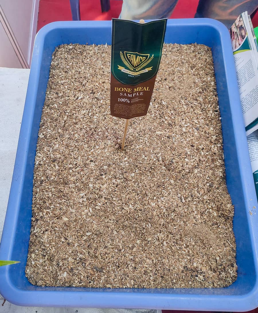 ಮೂಳೆ ಗೊಬ್ಬರ –ಪ್ರಜಾವಾಣಿ ವಾರ್ತೆ