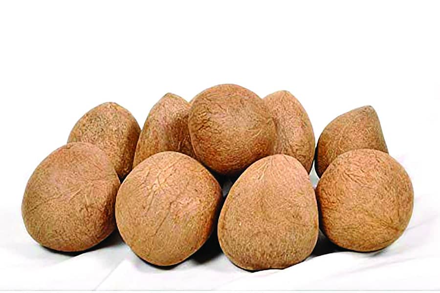 ಕೊಬ್ಬರಿ