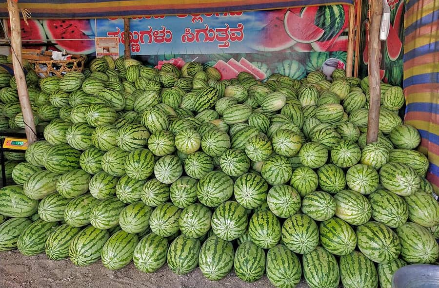 ಕೊಪ್ಪಳದ ಮಾರುಕಟ್ಟೆಗೆ ಲಗ್ಗೆ ಇಟ್ಟ ನೀರಿನ ಅಂಶ ಹೆಚ್ಚಿರುವ ಕಲ್ಲಂಗಡಿ ಹಣ್ಣುಗಳು –ಪ್ರಜಾವಾಣಿ ಚಿತ್ರಗಳು/ಭರತ್‌ ಕಂದಕೂರ