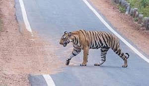 ಸಾಂದರ್ಭಿಕ ಚಿತ್ರ