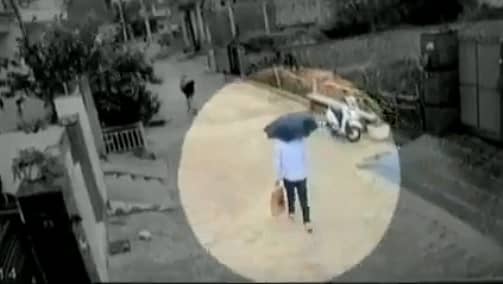 ಅಮೃತಪಾಲ್ ಸಿಂಗ್ ತನ್ನ ಮುಖವನ್ನು ಮರೆಮಾಚಲು ಛತ್ರಿ ಹಿಡಿದುಕೊಂಡು ಹೋಗುತ್ತಿರುವ ದೃಶ್ಯ (ಟ್ವಿಟರ್ ಚಿತ್ರ)