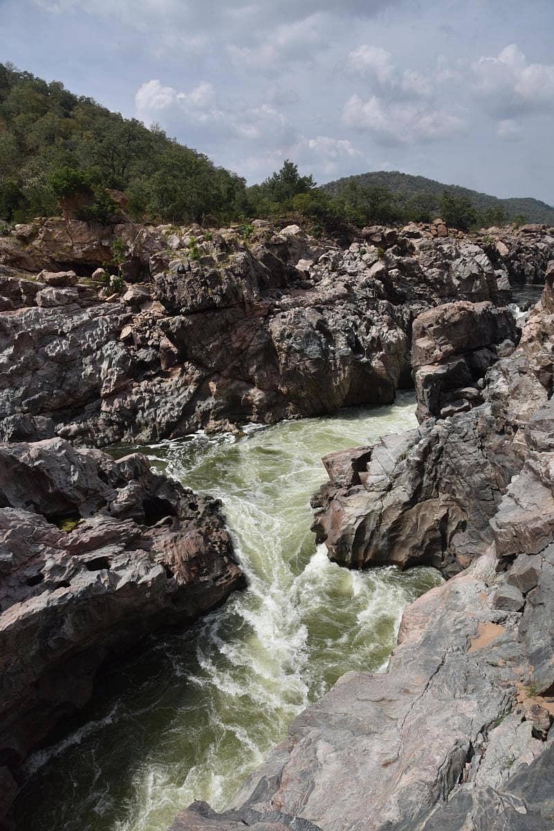 ಮೇಕೆದಾಟು (ಪ್ರಜಾವಾಣಿ ಸಂಗ್ರಹ ಚಿತ್ರ)