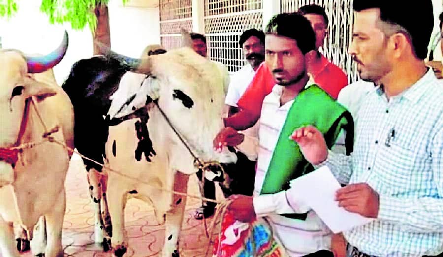 ಬೀದರ್ ಜಿಲ್ಲೆಯ ಬಸವಕಲ್ಯಾಣ ತಾಲ್ಲೂಕು ಪಂಚಾಯಿತಿ ಕಚೇರಿಗೆ ಎತ್ತುಗಳೊಂದಿಗೆ ಬಂದ ರೈತ ಪ್ರಶಾಂತ ಬಿರಾದಾರ