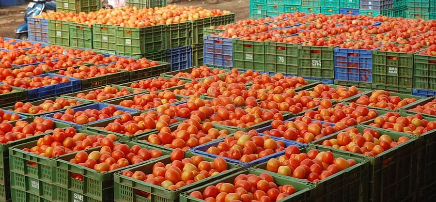 ಕೋಲಾರ ಎಪಿಎಂಸಿ ಮಾರುಕಟ್ಟೆಯಲ್ಲಿ ಟೊಮೆಟೊ ಆವಕ