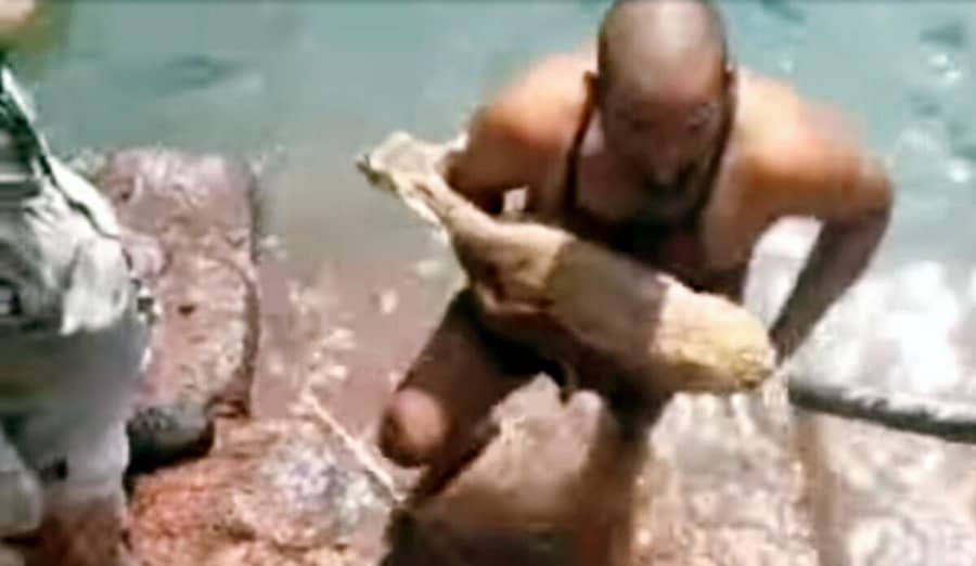 ಬಸವಕಲ್ಯಾಣ ತಾಲ್ಲೂಕಿನ ಗೌರದಲ್ಲಿ ಬಾವಿಗೆ ಬಿದ್ದ ಜಿಂಕೆ ಮರಿಯನ್ನು ರಕ್ಷಿಸಲಾಯಿತು