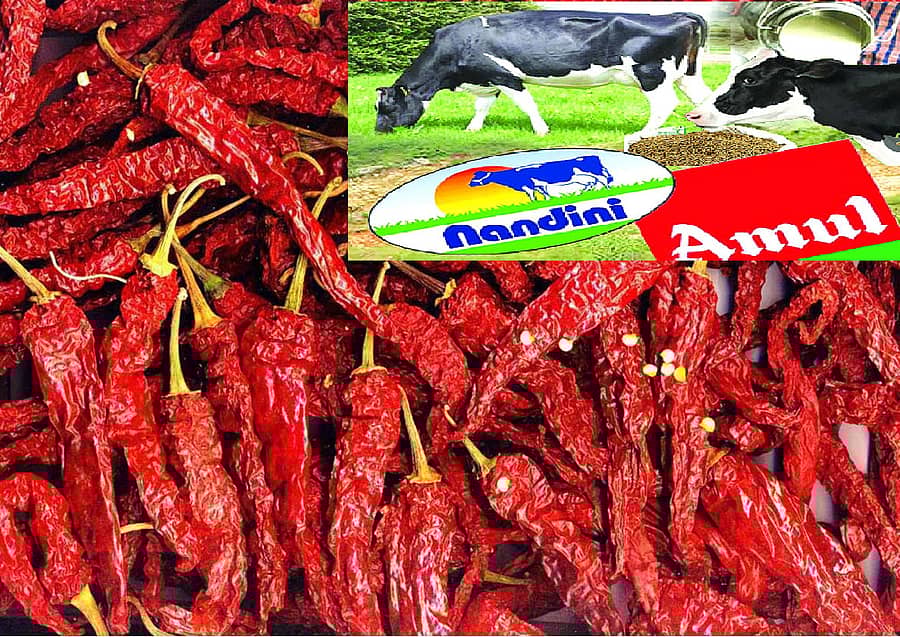 ಸಾಂದರ್ಭಿಕ ಚಿತ್ರ