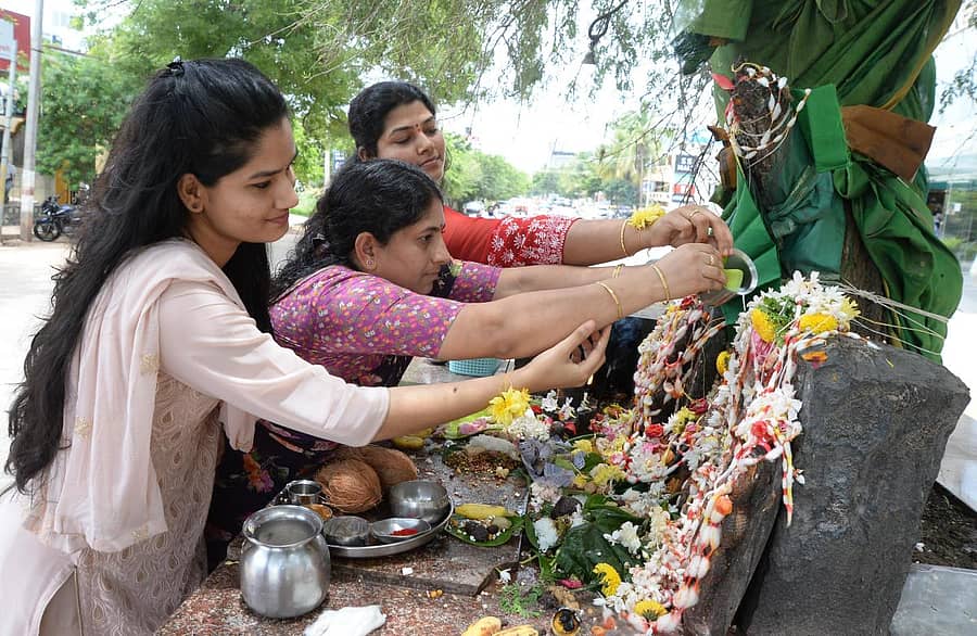 ದಾವಣಗೆರೆಯಲ್ಲಿ ನಾಗಪಂಚಮಿ ಅಂಗವಾಗಿ ಭಕ್ತರು ಕಲ್ಲು ನಾಗರ ಮೂರ್ತಿಗೆ ಹಾಲು ಹಾಕಿ ಭಕ್ತಿ ಸಮರ್ಪಿಸುತ್ತಿರುವುದು –ಪ್ರಜಾವಾಣಿ ಚಿತ್ರ/ ಸತೀಶ ಬಡಿಗೇರ್