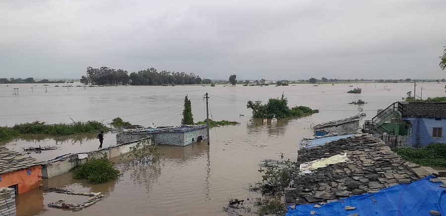 ಕಲಬುರ್ಗಿ ಜಿಲ್ಲೆ ವಾಡಿ ಬಳಿಯ ಭೀಮಾ ನದಿಯ ಪ್ರವಾಹಕ್ಕೆ ನಲುಗಿದ ಕಡಬೂರು ಸಂಪೂರ್ಣ ಜಲಾವೃತವಾಗಿರುವ ದೃಶ್ಯ