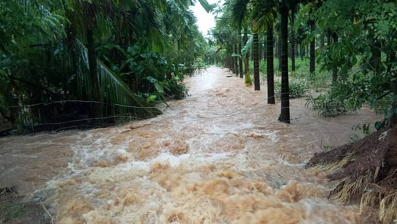 ಶಿರಸಿ: ಅಡಿಕೆ ತೋಟ, ಭತ್ತದ ಗದ್ದೆಗಳಿಗೆ ವ್ಯಾಪಕವಾಗಿ ನೀರು ಹರಿಯುತ್ತಿದ್ದು ರೈತರ ಆತಂಕಕ್ಕೆ ಕಾರಣವಾಗಿದೆ.