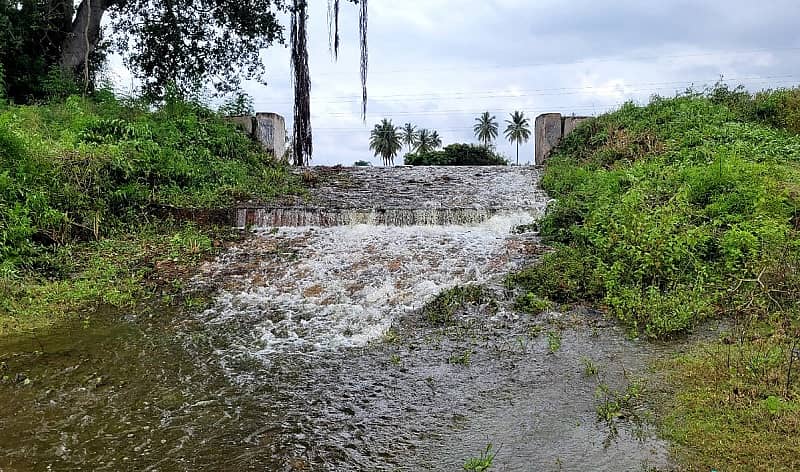 ಚಾಮರಾಜನಗರ ತಾಲ್ಲೂಕಿನ ಮಾಲಗೆರೆ ಎರಡು ದಿನಗಳ ಹಿಂದೆಯೇ ಕೋಡಿ ಬಿದ್ದಿದೆ.
