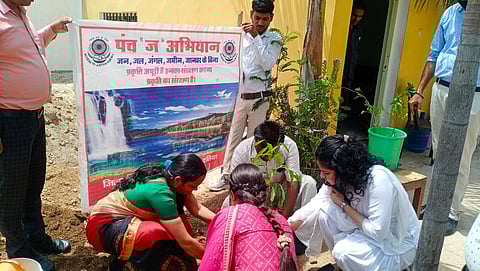 पर्यावरण सप्ताह के अंतर्गत वृक्षारोपण किया गया।